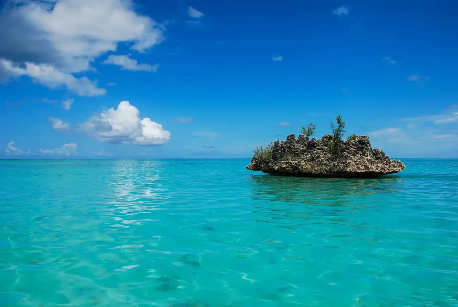Türkisfarbene Lagune Mauritius — das Dodo Relocations Team